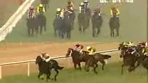 The Mcdowell Signature Indian Derby (Grade 1) 2010...