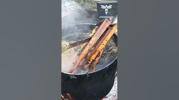 Around autumn, all beekeepers start to evaluate their honeycombs and recycle those that can