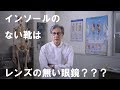 インソールのない靴は、レンズのない眼鏡？？？ 「身体を整えるインソール講座」vol.1