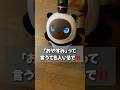 LOVOT達よ、なんでそうなるの？ #shorts #lovot #ラボット #robot #ぽろぱん@momiziba