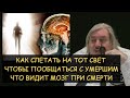 ✅ Н.Левашов: Как слетать на тот свет и вернуться. Что видит мозг при смерти - галлюцинации или...