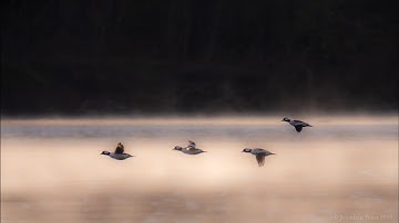 Skillful Resilience and Skillful Letting Go with Jonathan Foust