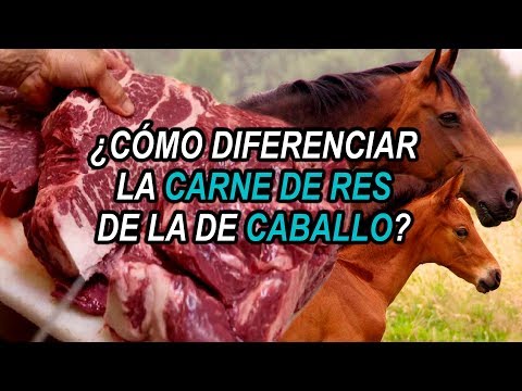 Video: Cómo Distinguir La Carne De Vacuno De La Carne De Caballo