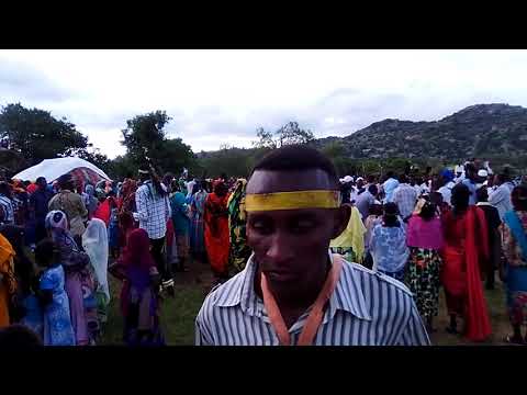 جنوب كردفان محلية الرشاد