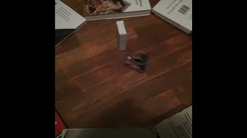 Mini Robot obstacle avoidance with PIC and IR leds