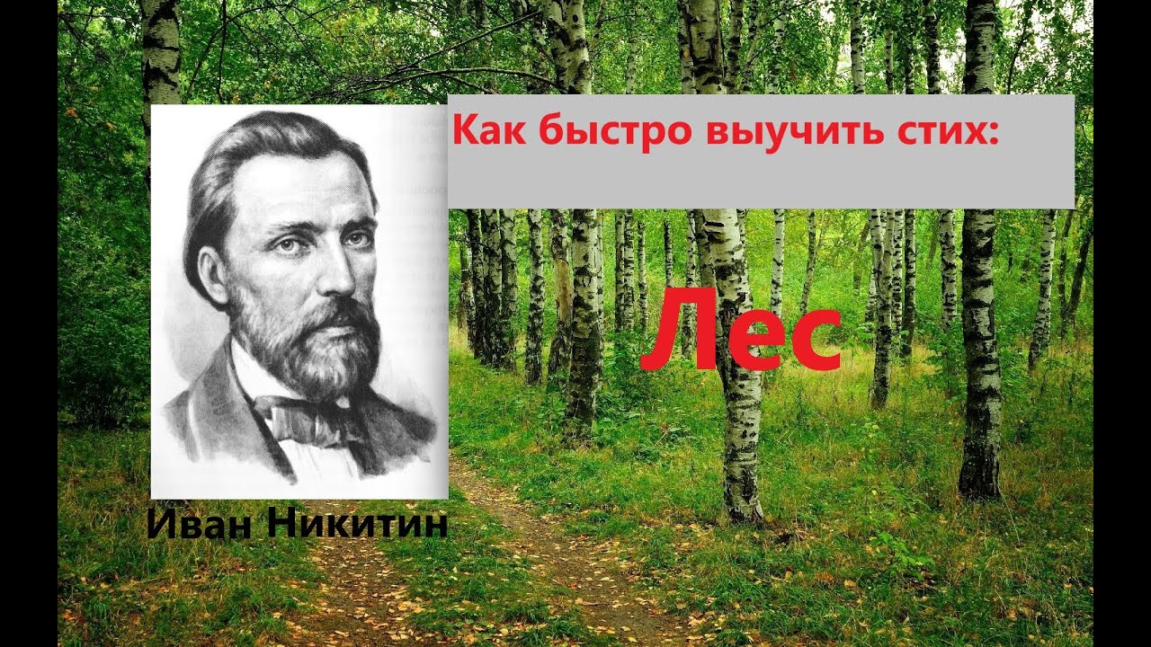 Стихотворение никитина лес. Никитин лес отрывок.