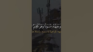 القارئ: عبد الرحمن مسعد||سوره النحل #اكسبلور #راحة_نفسية #لايك