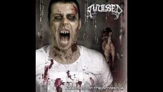 Watch Avulsed Wormeaten video