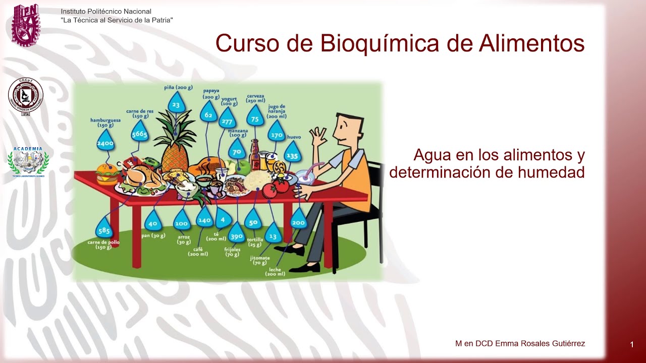 5° sesión. Importancia del agua en los Alimentos y Det… — Transcript