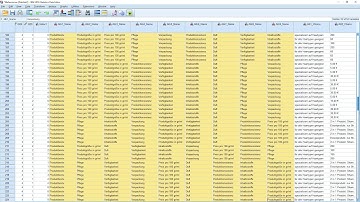 Error in SPSS during a Discrete Choice Experiment Analysis