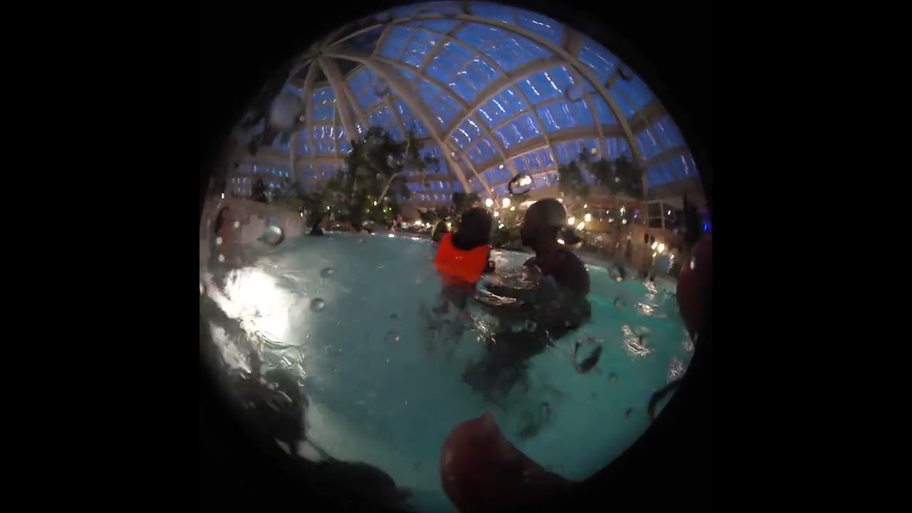 Les ailes du futur famille center parcs