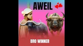 Mading Aweil___Bro Winner new song 2025