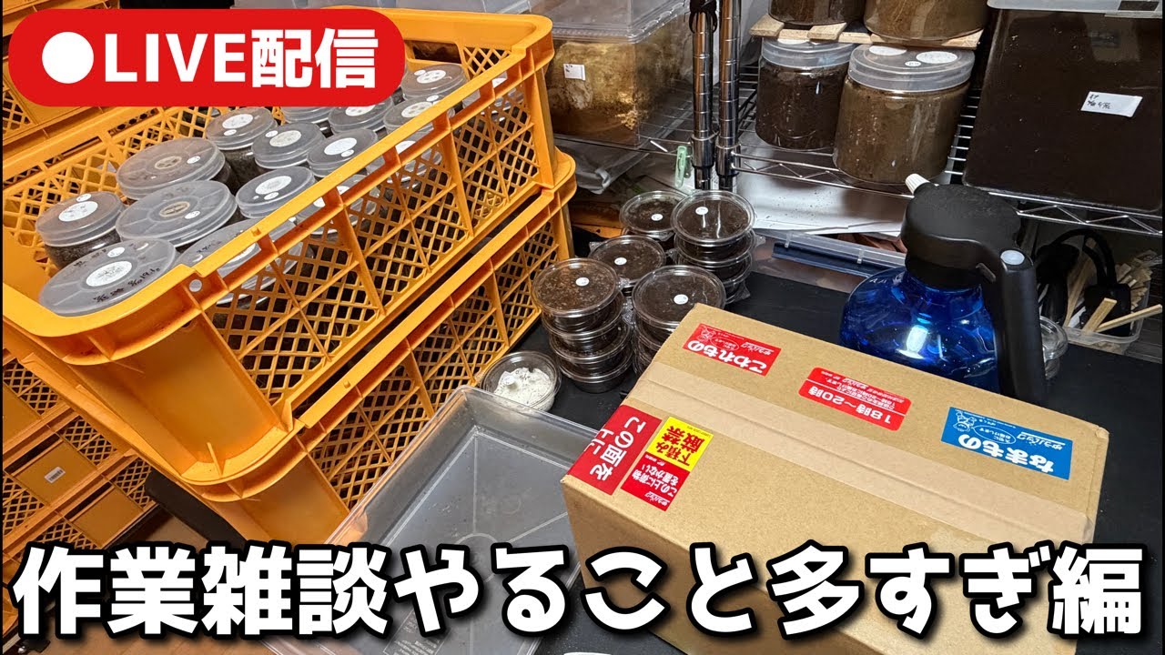 競うな持ち味を活かせ