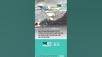 Gặp gỡ anh trai Việt có chứng chỉ chế biến cá nóc tại Nhật #taihennet #taihendoisong #nhatban