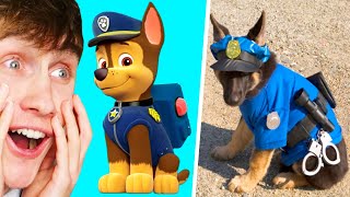 Paw Patrol Honden In Het Echt screenshot 3