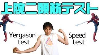 上腕二頭筋テスト(Speed test ＆Yergason test)：肩関節(Part.6)