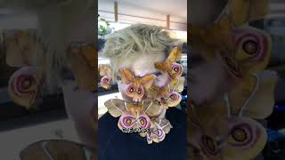 эксперимент с бабочкой | последствия удивили всех #эксперименты #новости #рекомендации