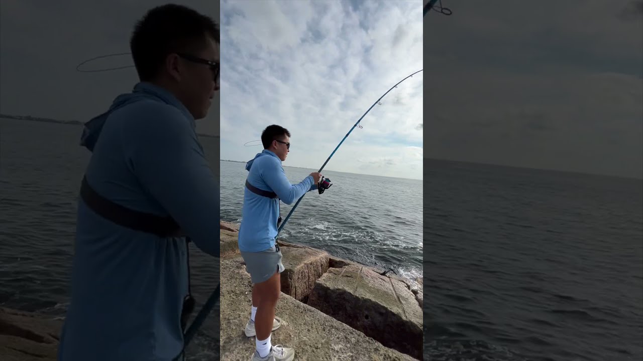 People HATE These Fish But I LOVE Them Do You MONSTER FISH 