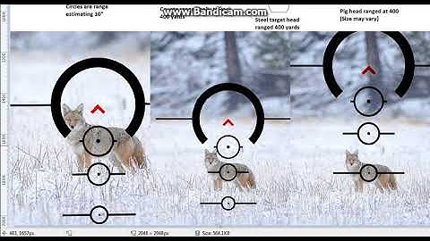ACSS Predator reticle (instuctional)