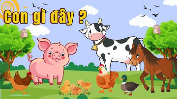 🐄 Từ Vựng Tiếng Anh Về Con Vật Trong Nông Trại Cho Bé | Farm Animals for Kids | bé học con vật