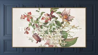 Vintage Botanical Watercolor Slideshow • Vintage Art for TV • 2 hours of paintings • Floral Ambience