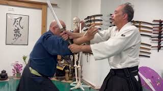 Ogawa Ryu - 鎖分銅  小さい KUSARI FUNDOU CHISAI / 斬り止め KIRIDOME Shidoshi Jordan Augusto - During Class!