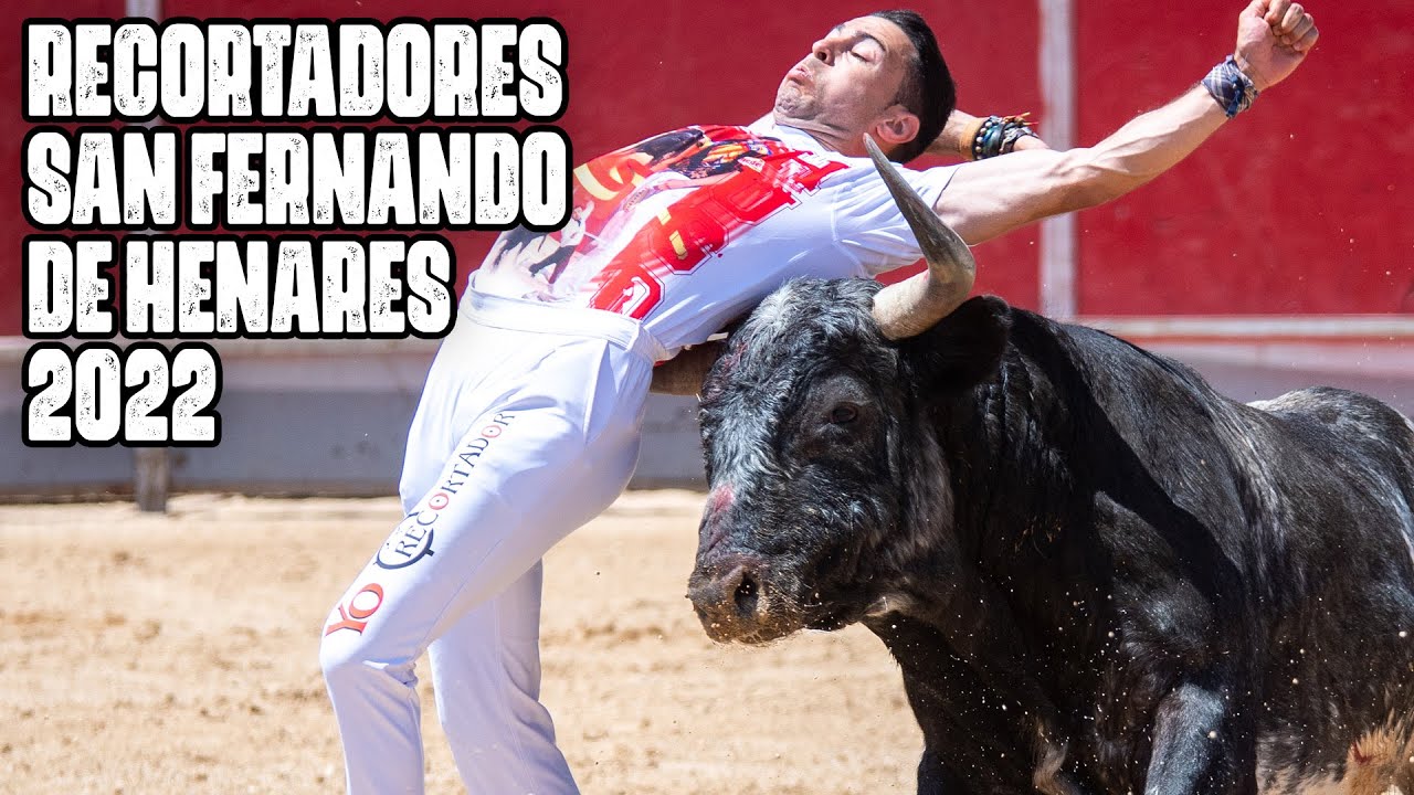 Donde se pueden ver los toros