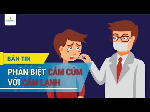 Video: Canine Gastroenteritis ở chó con