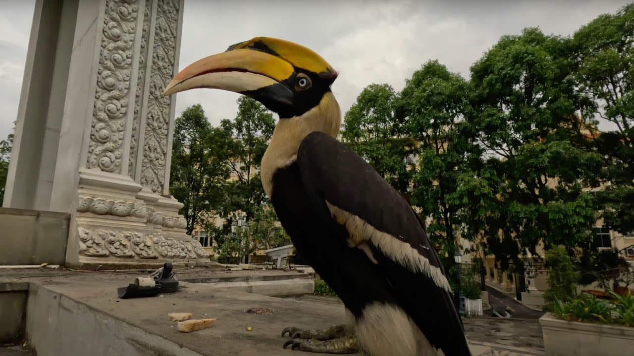 La pas prin orașul Phnom Penh din Cambodgia am uitat de toate răutățile oamenilor!