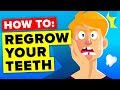 Here Is How You Regrow Your Teeth (It’s Happening Right Now)