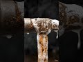 Rusty Old hammer Restoration | Satisfying Cleaning ASMR | Before After|“UNBELIEVABLE TRANSFORMATION”