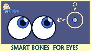 How to make Smart Bones for Eyes - Coise - Anime Studio - Moho tutorial 2019