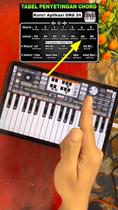 CORRECT CHORD SETTINGS IN ORG 24 #howtoplayorg2024 #org2024 #settingorg2024
