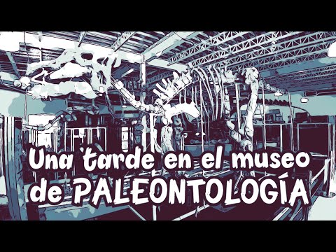 Museo de paleontología / Cd. Delicias Chihuahua