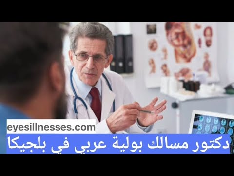 دكتور مسالك بولية عربي في بلجيكا