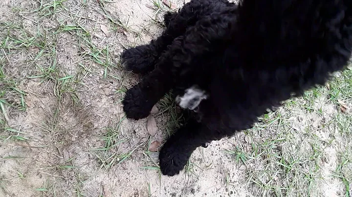 Blk male x2