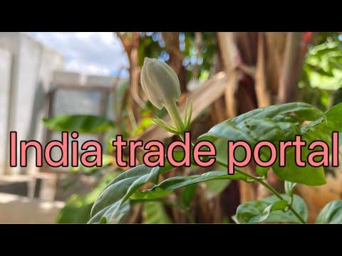 Use of India trade portal for exporters in tamil