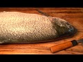 台中美食-本壽司-無菜單-超大鮭魚5吃