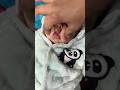 jo kam ko roka jay wahi krte hai #viral #cutebaby #shortvideo