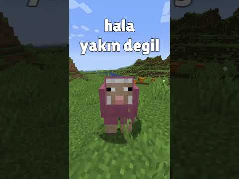Minecraft'ta EN NADİR