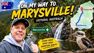 I Was NOT Ready for This! 😱 Melbourne to Marysville Road Trip 🇦🇺 | Black Spur & Waterfalls