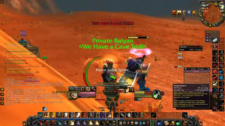 Turtle WOW,retribution paladin in open world PVP - I regret killing that rouge