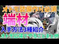 【モンハンライズ】初心者必見🌟オトモ装備作り必須！端材入手方法🌸＆オトモ広場でチェックすることまとめ【女性実況/MHRise/モンスターハンターライズ】【MonsterHunterRise】