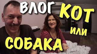 ВЛОГ: Кто у нас -  КОТ или СОБАКА...?(https://good-steam.ru - Лучший сайт игровых ключей Прайс на рекламу у меня на канале, цены: https://new.vk.com/topic-74331085_34157492., 2017-01-19T17:34:51.000Z)