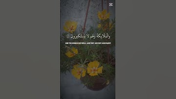 القرآن الكريم اجمل تلاوة بصوت ياسر الدوسري #اكسبلور #دويتو #الرحمن #راحة_نفسية