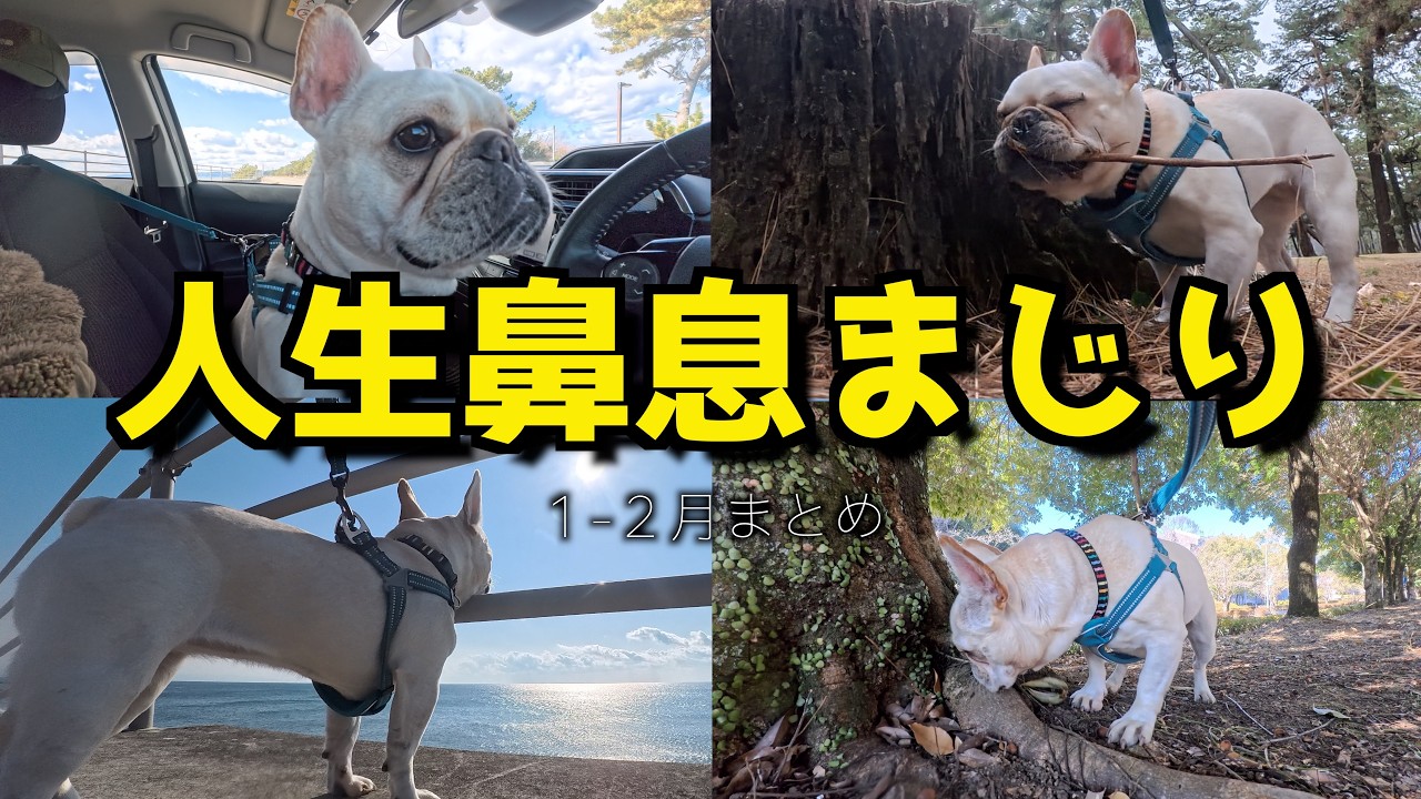 年が変わってもう2ヶ月経とうとしてます。