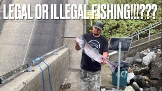 Snagging Columbia River Salmon!!! (Chief Joe Dam)