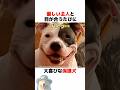 宇宙飛行士と保護犬