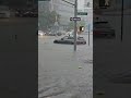 Sudden flood due to rain in New York ! 😯 #trending #shorts #viral