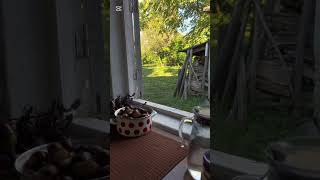 Про жизнь в Грузии. Переехали в новый - старый дом. Ремонт дома и других помещений #переездвгрузию